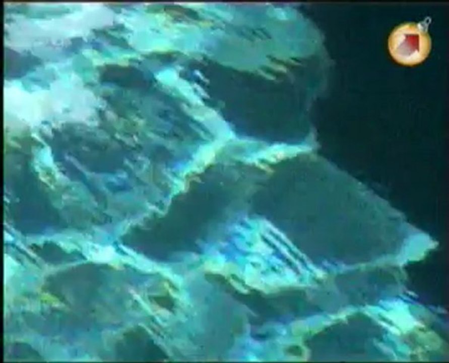 Проект мечты.эп-14.Фамильная резиденция