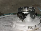 240 Volts Series motor in soapy water