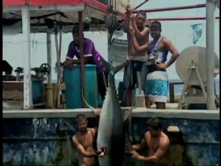 Alex and Andi Catch Tuna