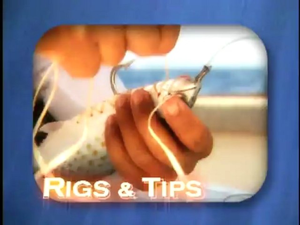 Tag Line Tips