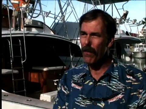 Guy Harvey Tagging Marlin