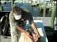 Cleaning a Cobia