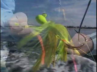 Fishing with Jigs