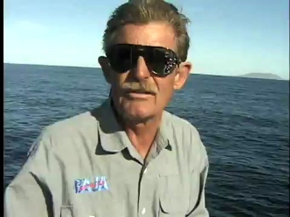Chasing bait in Mexico