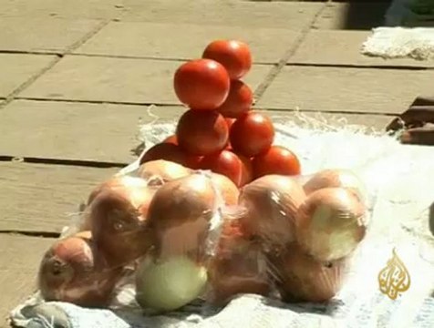 حكومة وطنية لتحسين الأوضاع المعيشية للزيمبابويين