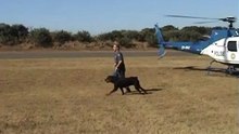 SAPS Eurocopter AS350 Helicopter Random Video
