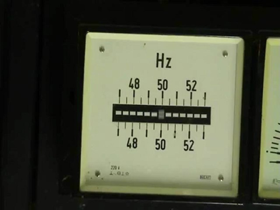 Frequency meter with reeds