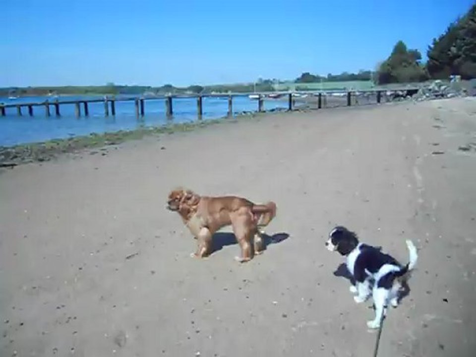A la plage