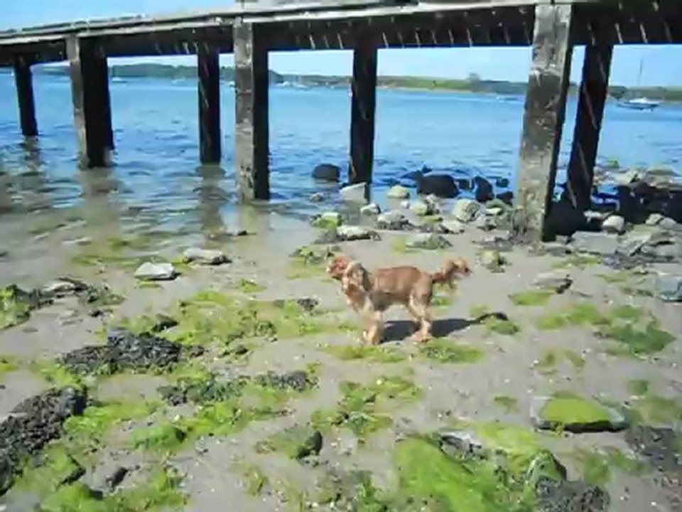 à la plage Mai 2012