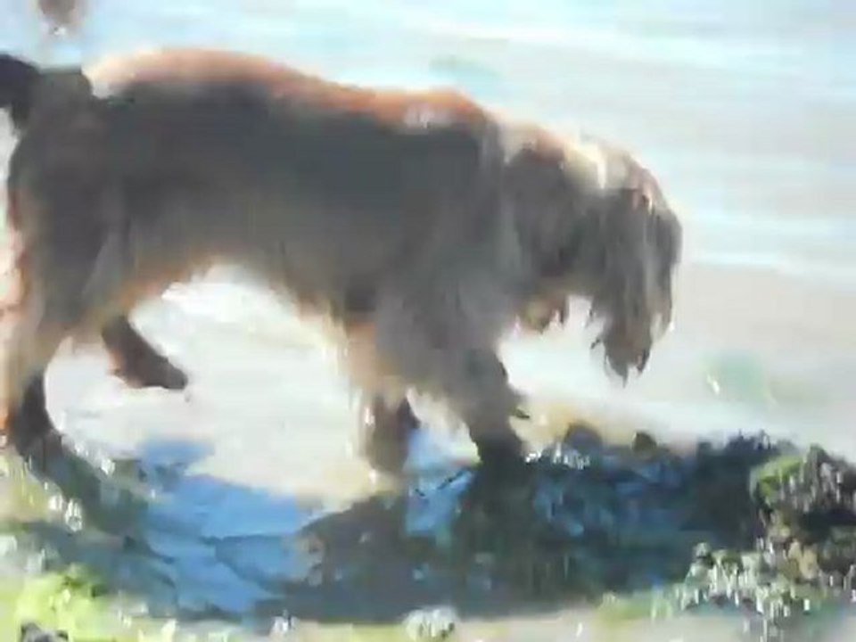 à la plage Mai 2012