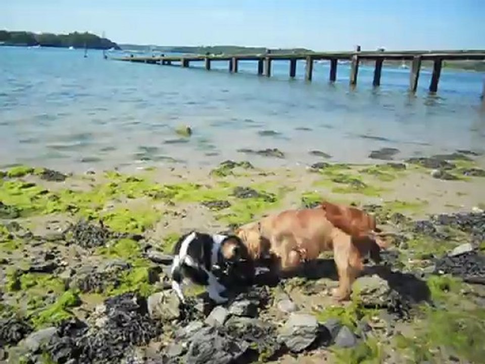 à la plage Mai 2012