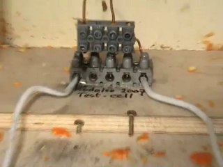 Mandarin at 4000 Volts