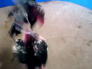 Lancer di Turnament Team Papaji