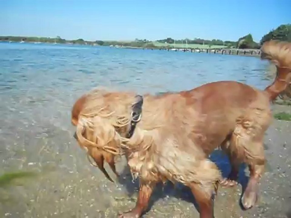 à la plage Mai 2012