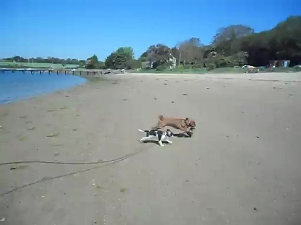 à la plage Mai 2012