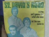 Mama ain't gonna like what she sees -- St Davids Rd - 45 RPM