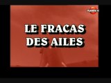 Le fracas des ailes [ Les chasseurs ]