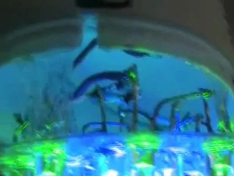 230 Volts LED lamp - project 1