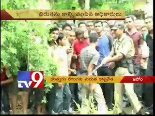 Cheetah injures forest officials seriously