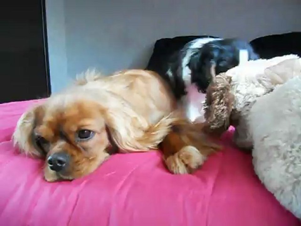 Visite dans ma futrure maison (chez ma maman)