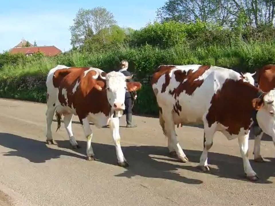 Réunion Génération Renault 20 & Renault 30 - Jura 2012