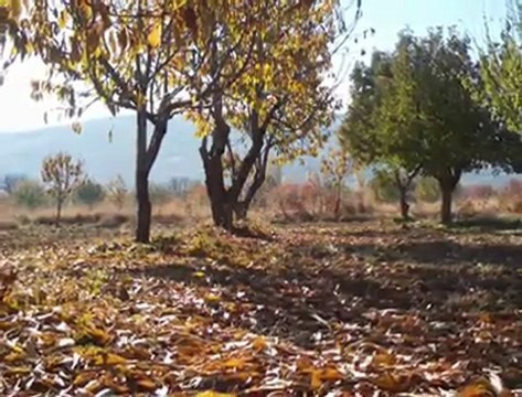 Sonbahar MEMLEKET-1-Klarnet Fasıl Çok Güzel Tam Ekran İzleyin