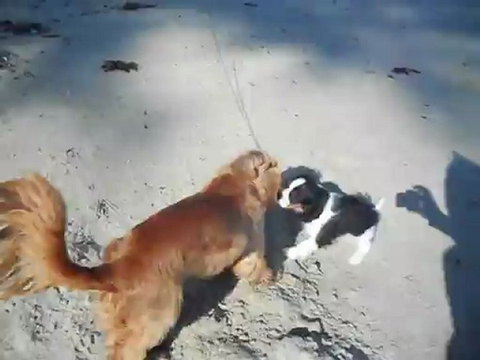 A la plage de Dinard Mai 2012