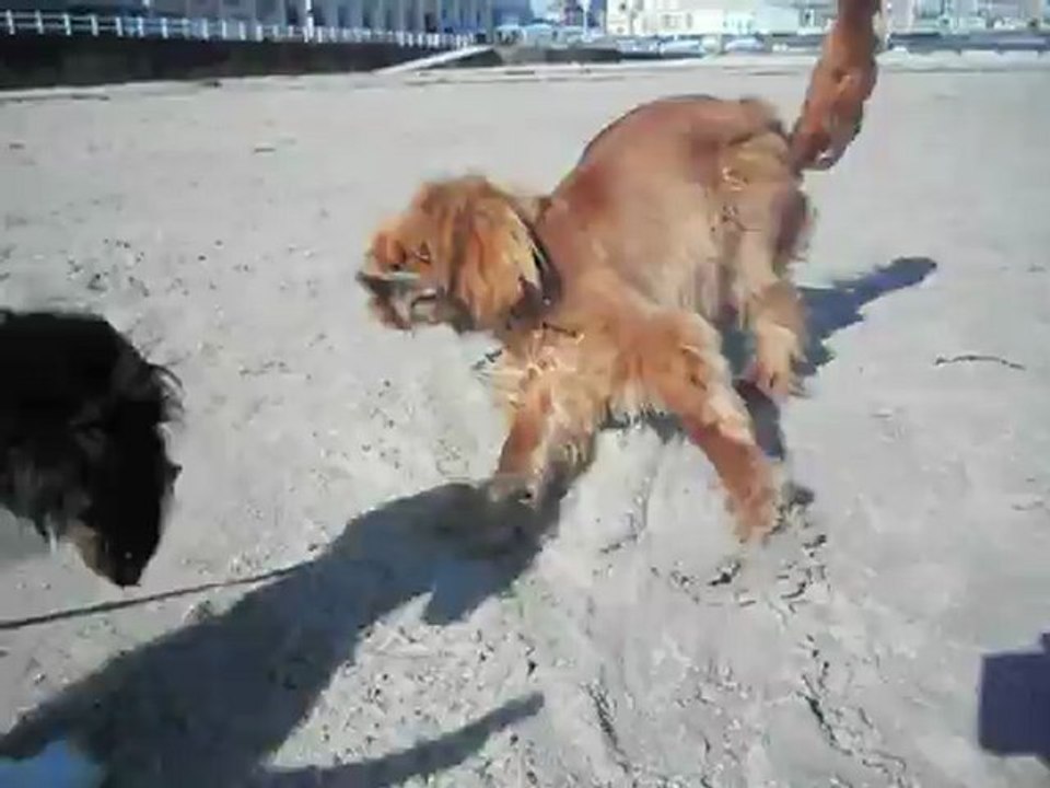 à la plage de Dinard Mai 2012