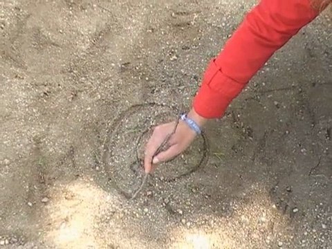 Candidat Objecteur de Croissance Clip de Campagne Législatives 2012