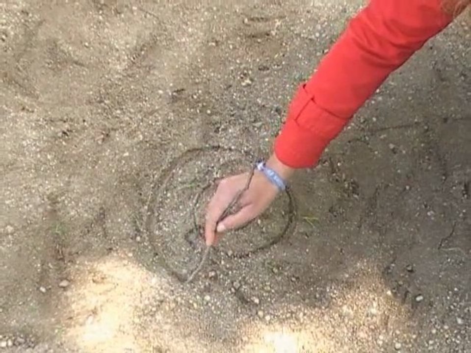 Candidat Objecteur de Croissance Clip de Campagne Législatives 2012
