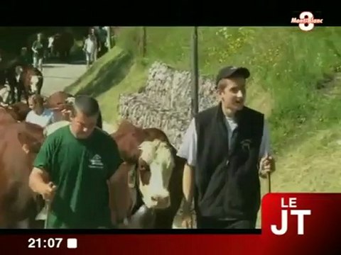 Les vaches montent en alpage (Les Aravis)