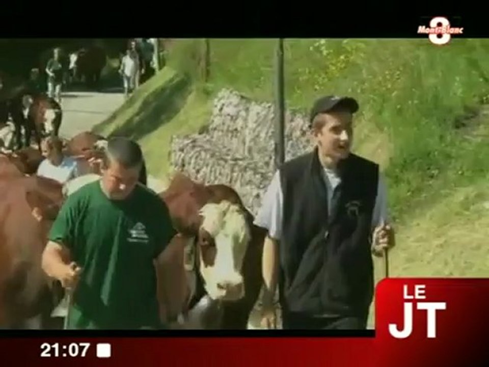 Les vaches montent en alpage (Les Aravis)