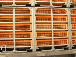 Groupe Doux : inquétude chez les salariées (Chantonnay)