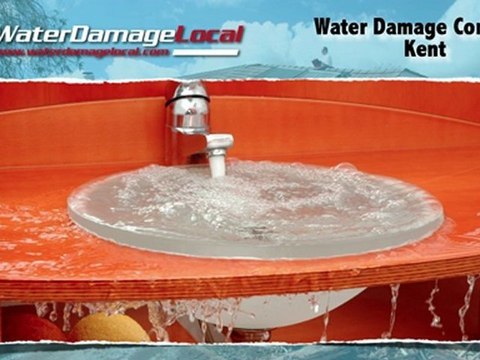 Kent Water Damage Company ~~ Basement Flooding?