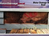 Kent Water Damage Repair - Mold Extraction Company