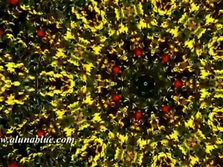 Free Stock Video - Free Video Backgrounds - Free Stock Footage