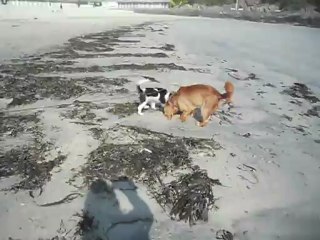 à la plage de Dinard Mai 2012
