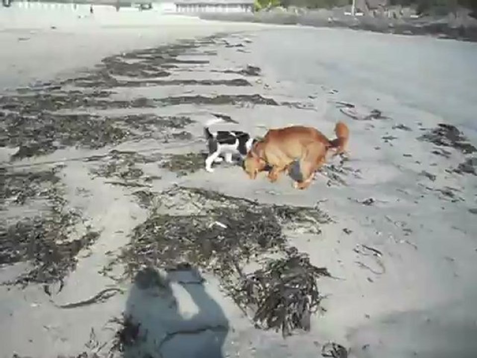 à la plage de Dinard Mai 2012