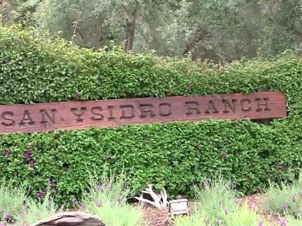 Drew Barrymore's intime Hochzeit