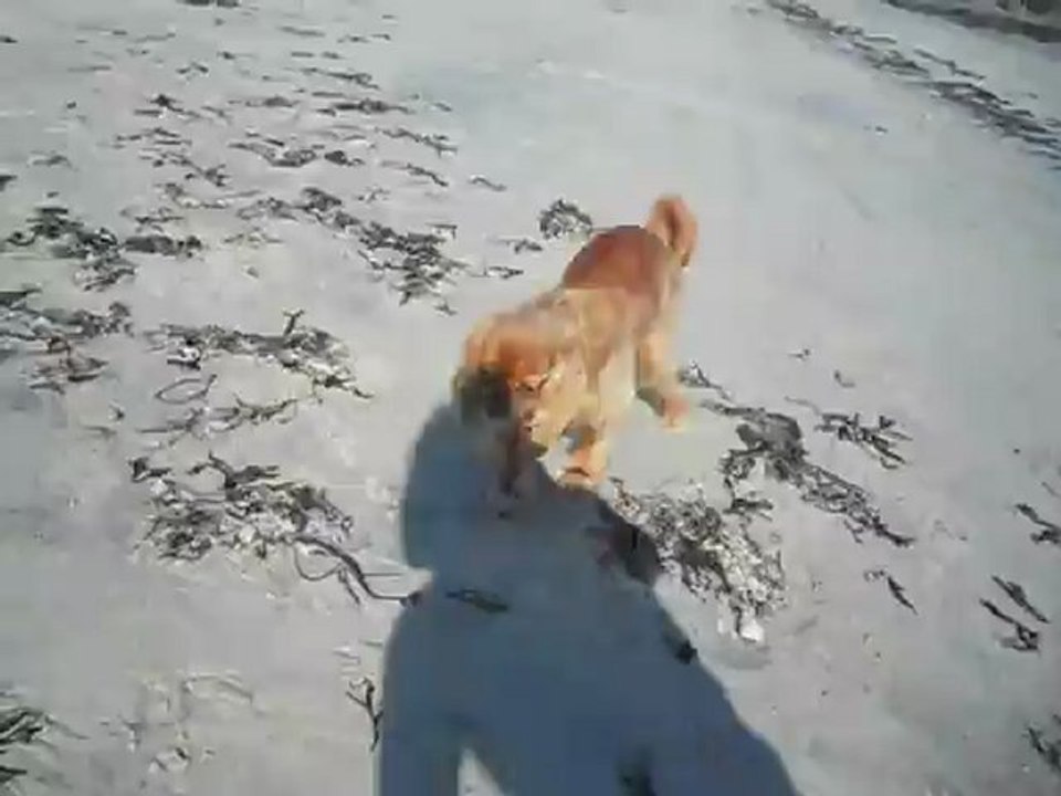 A la plage de Dinard Mai 2012