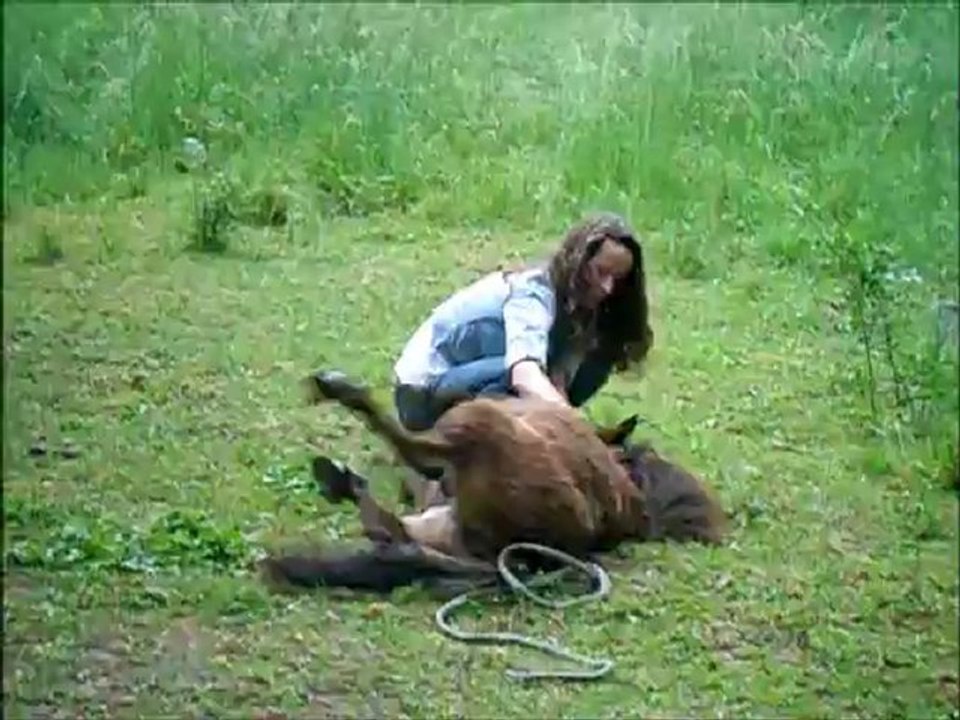 Apprentissage du Coucher par biombo !!