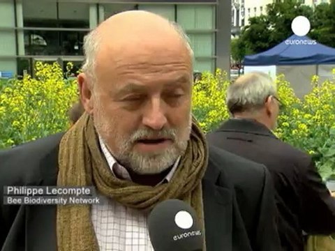 Les abeilles font du buzz au Parlement européen