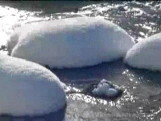 Vivaldi The Four Seasons