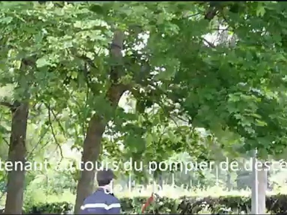 Sauvetage d'un chat
