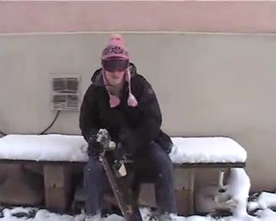 Le Snowboard