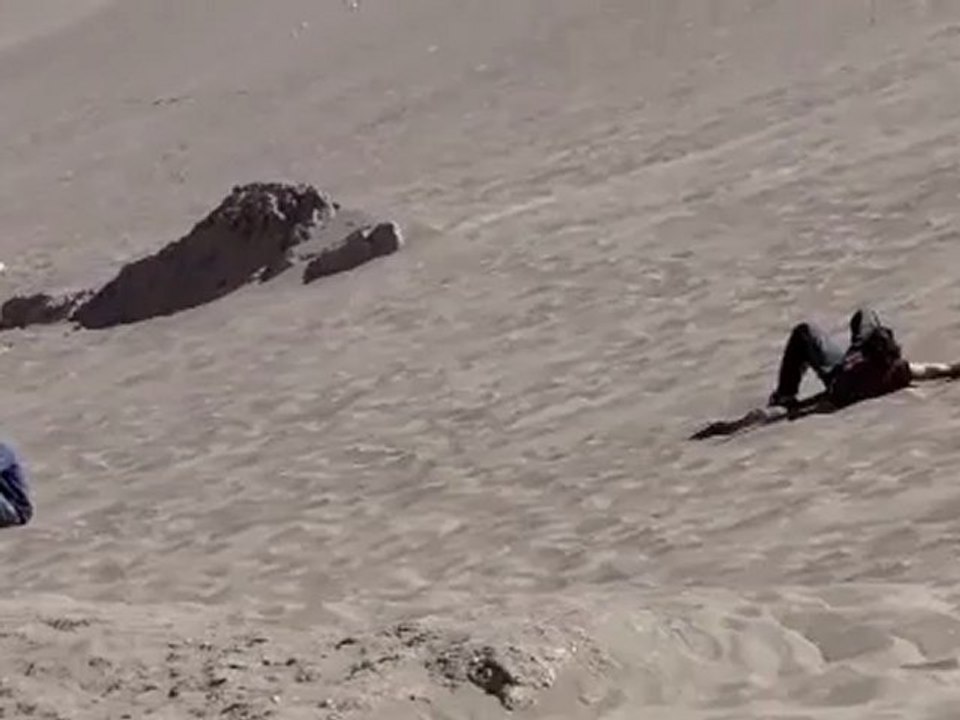 Sandboard
