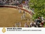 Rampaging bull injures 40 in Spain