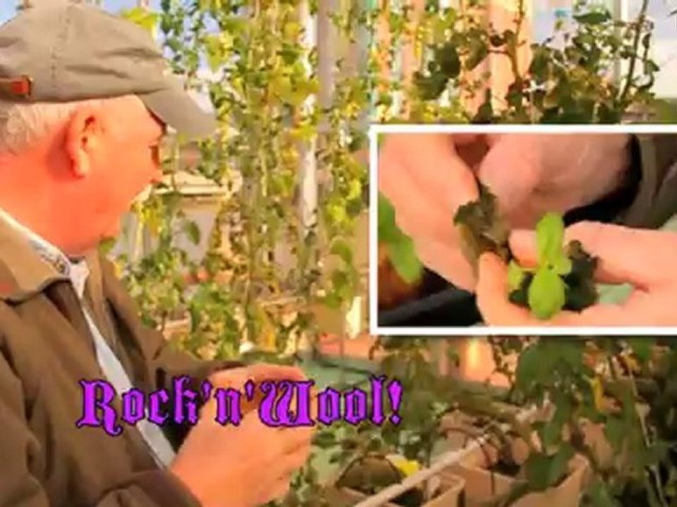 The Science Barge - Three ways to Grow High - Vertical ...