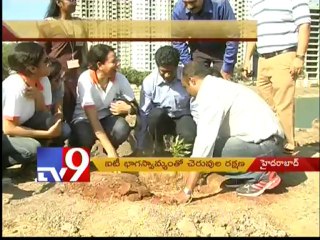 Hyderabad lakes saved with the help of IT companies