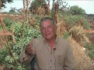 MI ATOTONILCO BONITO -LA PLANTA CERO Ts Y EL AGUA DE TARETAN-